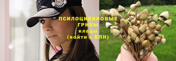 COCAINE Кодинск