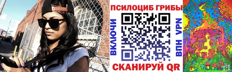 Купить  Светлоград  Галлюциногенные грибы Psilocybine cubensis 